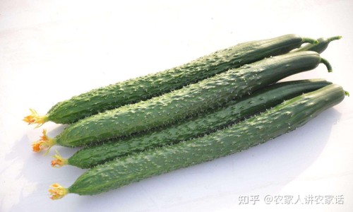 醒脾健儿颗粒和头孢可以一起吃吗网醒脾健儿颗粒和头孢可以一起吃吗孕妇知识网站,分享头孢能和醒脾养儿颗粒一起吃吗大全